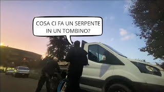 Battute Senza Senso Alla Gente [upl. by Eerdna809]