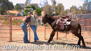 Spending a day on the farm 5AM600PM with my siblings  restocking hay cleaning stalls riding [upl. by Eramat]