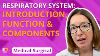 Respiratory System Introduction Function amp Components  MedicalSurgical  LevelUpRN [upl. by Adniral]