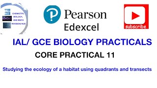 Studying the ecology of a habitat using quadrants and transects Biology core practical 11 [upl. by Keese]