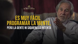 La ciencia que cambiará su futuro ¡EL DR BRUCE LIPTON EXPLICA CÓMO REPROGRAMAR TU MENTE [upl. by Hazem390]