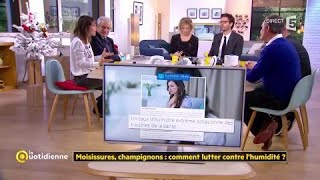 Moisissures champignons  comment lutter contre lhumidité [upl. by Adore44]