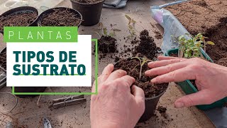 Tipos de sustratos para plantas de interior y exterior  Plantas en VERDECORA [upl. by Naldo]