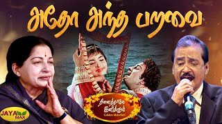 அதோ அந்த பறவை போல  Adho Andha Paravai Song  MSV Songs  Aayirathil Oruvan  Jaya Max [upl. by Ennaillij]