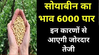 सोयाबीन का भाव जायेगा ₹6000 पार  Soybean Ka Bhav  Soyabean Mandi Bhav  सोयाबीन मंडी भाव [upl. by Htiduy]