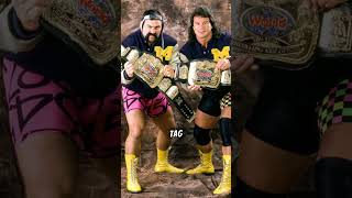 Steiner Brothers steinerbrothers wcw wwe wwf njpw [upl. by Attem]