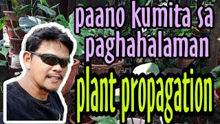 paano kumita sa paghahalaman  ornamental plants propagation agrifuturetv [upl. by Loseff]