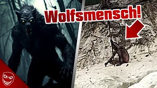 Vor wenigen TAGEN passiert Gruseliger WOLFSMENSCH in DEUTSCHLAND gesichtet [upl. by Kehoe]