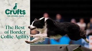 Lightning Quick ⚡ The Very Best of Border Collie Agility [upl. by Ynaffi]