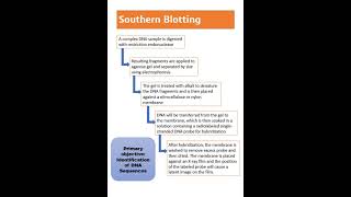 Blotting techniques with steps Southern Northern Western and Eastern [upl. by Puritan187]