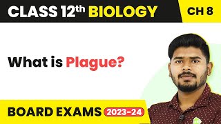 What is Plague  Human Health and Disease  Class 12 Biology 202223 [upl. by Apicella837]