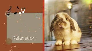 Musique Relaxante Anti Stress 30 minutes  ⭐ RELAXATION intense pour Evacuer le stress [upl. by Harlow]