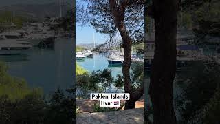 Pakleni Islands Hvar 🇭🇷 hvar hvarisland nature [upl. by Eimme]