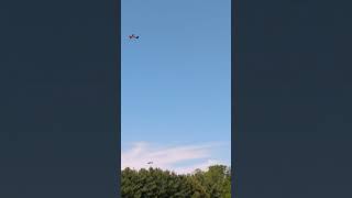 RC PLANES TRYING TO FLY WITH EACH OTHER [upl. by Lose]