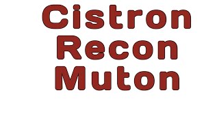 Cistron Recon Muton biologywalesir gene cistron recon muton [upl. by Ammon]