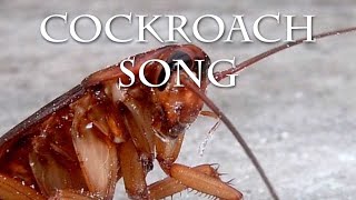 Cockroach Song [upl. by Bijan744]