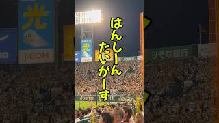 甲子園の楽しみ方 甲子園阪神タイガース岡田監督甲子園グルメ阪神甲子園球場 [upl. by Wrand468]