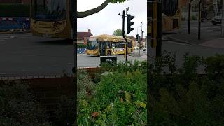 Reading buses  Scania K270UB ADL Enviro300SG  No427  to Arborfield Garrison  220824 [upl. by Naasah]