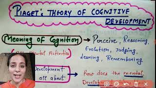 Piaget Theory Of Cognitive developmentSchema theory BEd Notes CDP Ctet [upl. by Reynard]