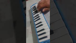 VOY A OLVIDARME DE MI  MARIO LUIS  PUNTEO MELODICA voyaolvidarmedemi marioluis melodica punteo [upl. by Aubrette]