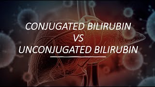 Conjugated Bilirubin VS UnConjugated Bilirubin [upl. by Aztinad]