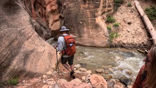 Need a HIDDEN Hike in Utah Kanarra Falls [upl. by Ned]