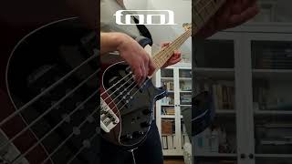 Tools most iconic riff Tool  Schism bass [upl. by Aitan]