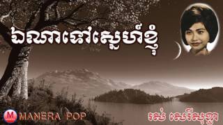 ឯណាទៅស្នេហ៍ខ្ញុំ​ អ្នកណាមួយដែលខ្ញុំស្រលាញ់  ena tov sne kgnom Ros serey sothea – រស់សេរីសុទ្ធា [upl. by Malita]