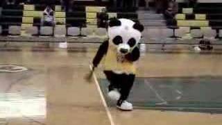 The Panda mascot does a dance [upl. by Namsu]