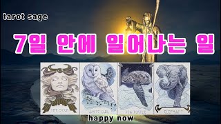 타로 tarot quot7일 안에 일어나는 일” 11201126 🎀주간타로 [upl. by Eanahc]