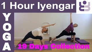 One Hour Iyengar Yoga Class  19 Days of Yoga Collection [upl. by Crysta123]