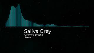 Saliva Grey  Gimme a Second Slowed [upl. by Suidualc]