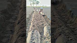 field work out automobile agriculturesystem agriculture farming farmingsystem [upl. by Feune]