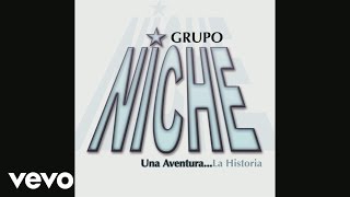 Grupo Niche  Duele Más Cover Audio Video [upl. by Aniretac]