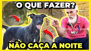 CACHORRO DE CAÇA QUE NÃO ANDA A NOITE  O QUE FAZER [upl. by Candless]