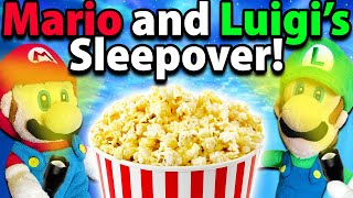 Crazy Mario Bros Mario and Luigis Sleepover [upl. by Eusadnilem]