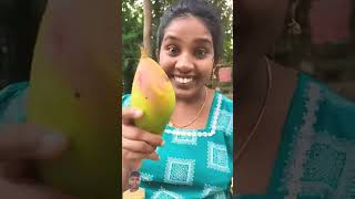 mango malayalam fruit food klbrobijurithvik [upl. by Notsuoh]