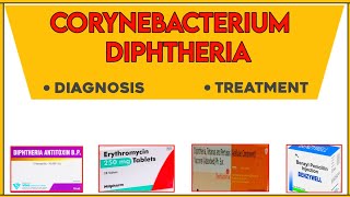 Diphtheria  Diagnosis  treatment  complications [upl. by Navonod]