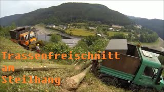 Trassenfreischnitt am Steilhang  380kV  Hochspannung  Pumpspeicherkraftwerk Hohenwarte [upl. by Crescantia]