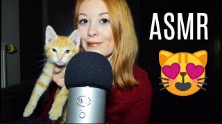 ASMR Chaton 😻 [upl. by Fausta]