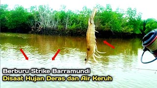 Berburu Strike Barramundi Disaat Hujan Deras dan Air Keruh [upl. by Attenol405]