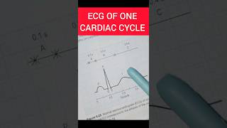 ECG of one Cardiac Cycle 🫀 One Shot on One Chart 🔥 ecg cardiaccycle shorts shortsfeed viral [upl. by Aihceyt877]