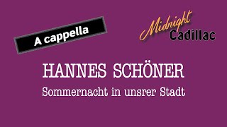 HANNES SCHÖNER Sommernacht in unsrer Stadt A cappella [upl. by Kristos]