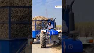 tractor lover youtubeshorts ytshorts farming nishudaswal shorts [upl. by Teodor]