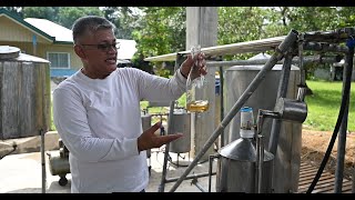 Lemongrass oil extraction process [upl. by Laumas]