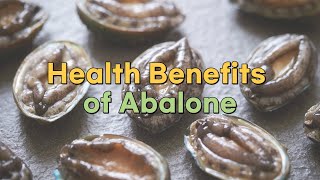 Health Benefits of Abalone [upl. by Barton]