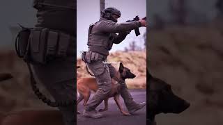 dog k9 military k9protection dogtraining germanshepherd police doglover usmilitary [upl. by Wilkins]