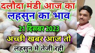 दलौदा मंडी आज का लहसुन का भाव 21 दिसंबर 2023 fresh garlic rate today daloda mandi aaj ka bhav [upl. by Otilopih]