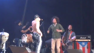 Calle 13 feat Zack de la Rocha Rage Against The Machine If you Fear Dying Wirikuta Fest [upl. by Jesus]