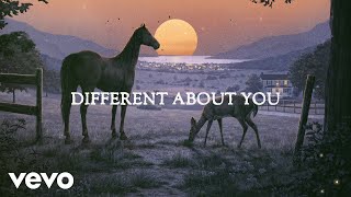 Old Dominion  Different About You Official Lyric Video [upl. by Tibbs]